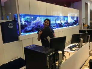 office relocation services