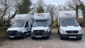 Local moving companies near me